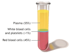 Platelet-Rich-Plasma-1